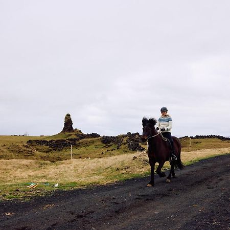 Hotel Klaustur Kirkjubæjarklaustur Buitenkant foto